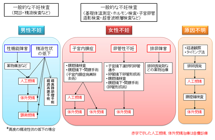 高度 不妊 治療 と は